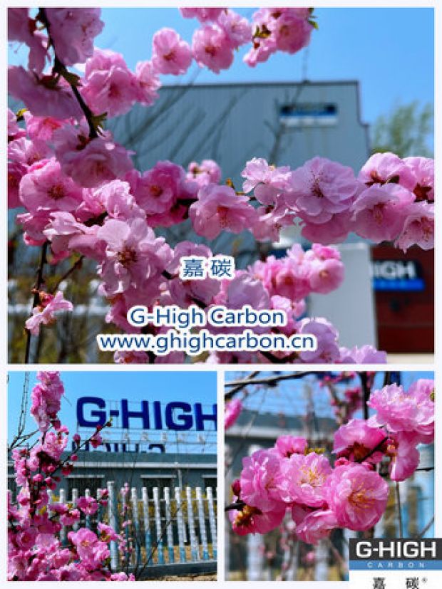 環保嘉碳，春花爛漫