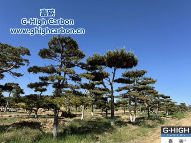 美化廠區環境